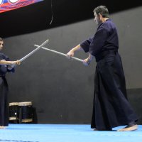 Iniciativa Nihon Budo Sai